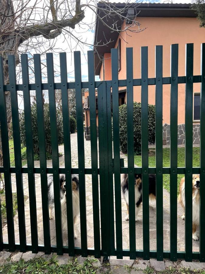 Loc.Cioccaie Apartman Grosseto Kültér fotó